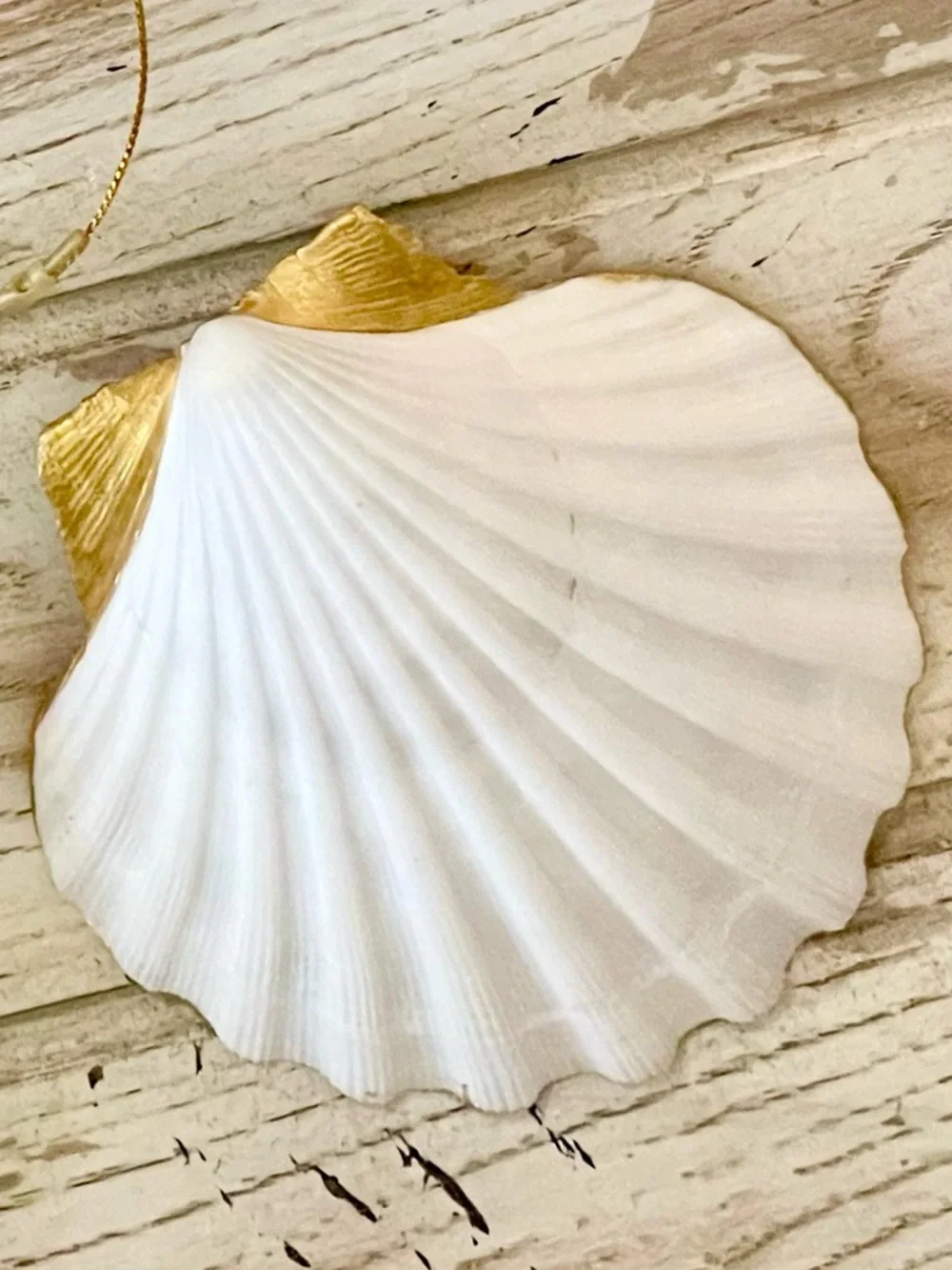 Hand Crafted Butterfly Garden Trinket Shell Jewelry Dish 4.5” - Picture 2 of 4